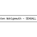 20-06-2013 - Torsten Wohlgemuth - SEAGALL - PromoImage.jpg